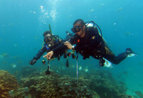 Discover Scuba Diving in Fujairah one pool & one sea dive 3